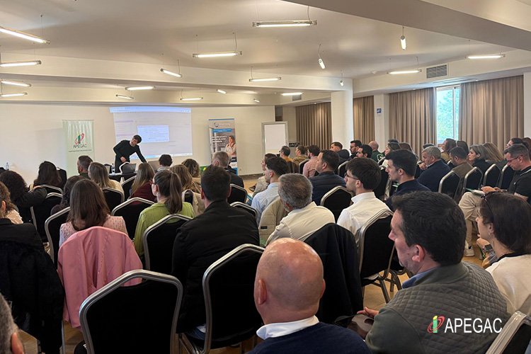 II Sessão da formação com simulação de uma Assembleia de Condóminos, foi também um êxito